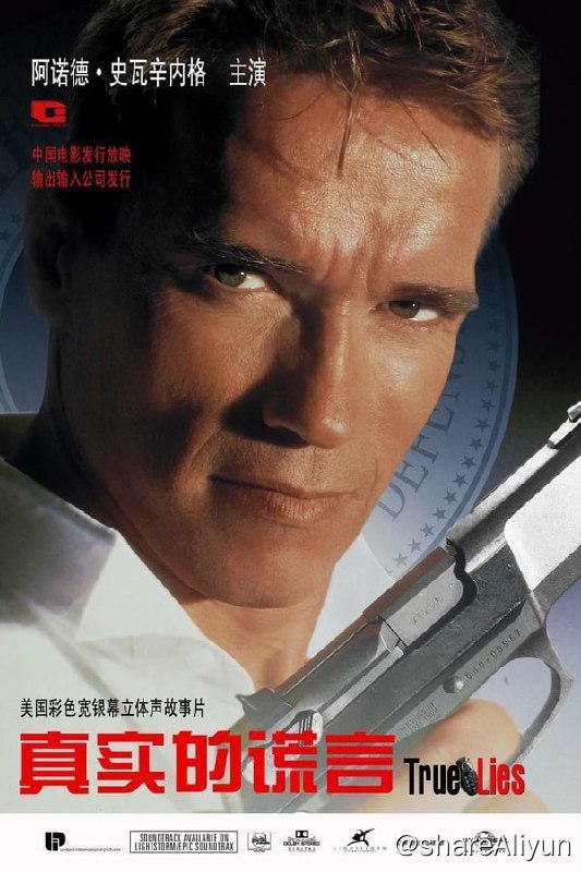 名称：真实的谎言(1994)REMUX描述：哈里（阿诺·施瓦辛格 Arnold Schwarzenegger 饰）是美国FBI的高级特工，他正在奉命调查一起跨国核武器走私案件