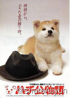 名称：No.176 忠犬八公物语 1987描述：1923年，日本秋田县大馆市天降大雪，近藤家纯种秋田犬产仔，赠与县土木科长间濑