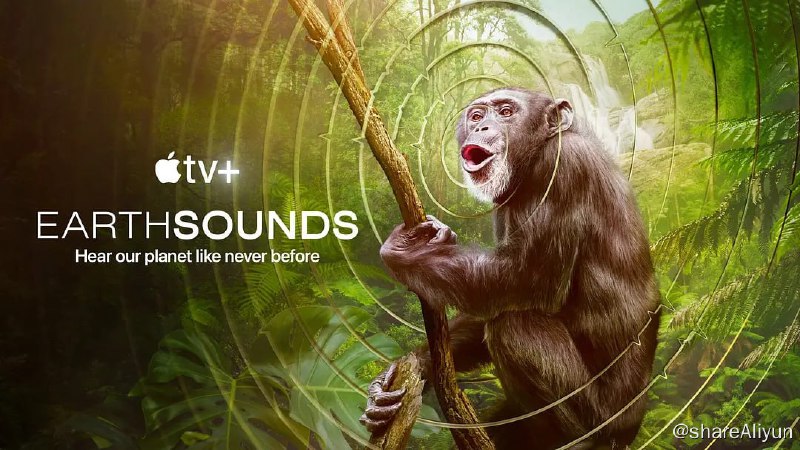 名称：地球之声 Earthsounds (2024) 4K描述：身临其境的音频揭示了动物在世界各地交流的意想不到、陌生和不为人知的方式