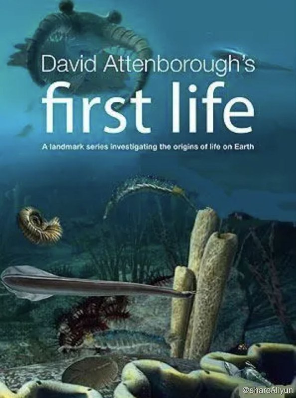 名称：生命的起源 (2010) 1080P 中字外挂字幕描述：世界著名自然历史节目主持人大卫·爱登堡爵士和获得无数奖项的大西洋制作公司合作进行了此次时间之旅，周游世界，试图发现最早的动物如何在我们的星球上出现