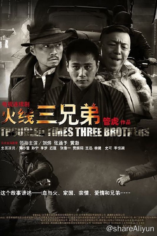 名称：火线三兄弟(2013) S01 4K描述： 抗日战争时期，中华大地四万万人民的命运被战火所改变，来自山东的田家三兄弟也无法例外，他们各自经历着前所未有的家国纠葛