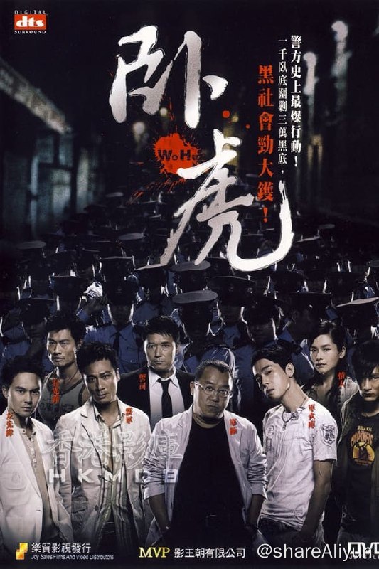 名称：卧虎(2006) 4K高码描述：相传警方派驻了上千卧底深入黑帮，就等时机成熟把社团一网打尽