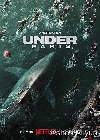 名称：巴黎深渊 (2024) 4K HDR 中字内嵌字幕描述：2024年夏天，巴黎首次在塞纳河畔举办世界铁人三项锦标赛