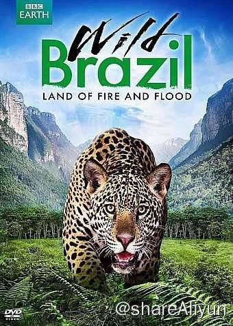 名称：狂野巴西 (2014) 1080P 中字硬字幕描述：这里有最壮丽最秀美的风景，这里有数量庞大的野生动物