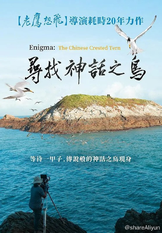 名称：寻找神话之鸟 尋找神話之鳥 (2021) 1080P描述：寻找神话之鸟二十年，它们的数量从八只，到现在约一百只，仰赖迁徙路径上，各国的保育行动