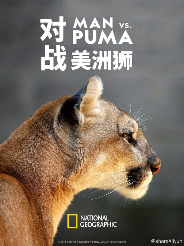 名称：对战美洲狮 Man vs. Puma (2018)描述：布恩·史密斯了解美洲狮
