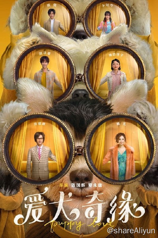 名称：爱犬奇缘(2023) 4K高码描述：该片讲述了三组养狗的单身男女，他们因狗相识结缘或因狗和解，俊男靓女混搭可可爱爱的萌宠，糖分满满惹人心动的故事 