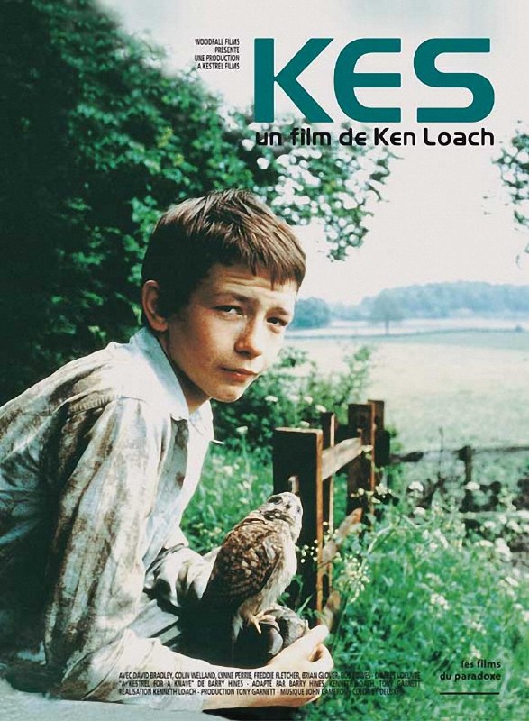 名称：小孩与鹰 Kes (1969)描述：英国男孩比利•卡士柏(David Bradley 饰)生活在一个破碎的工人阶级家庭里，父亲离家出走，除母亲和哥哥外，比利也要打工贴补家用