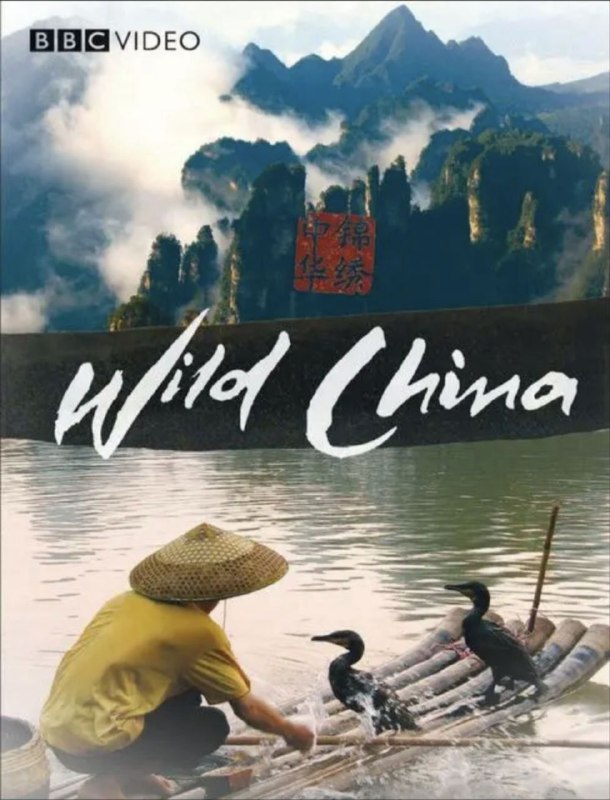 名称：美丽中国 1080P描述：Wild China影片年代：2008影片产地：中国、英国对白语轨：国粤英三音轨，默认英语影片字幕：中字内嵌字幕影片集数：6集电影简介：影片从长江以南的稻米之乡开始，到酷热的西双版纳雨林，极寒的珠穆朗玛峰，中国的标志长城，中华文化发源地黄河流域以及蜿蜒曲折的1.8万公里海岸线等