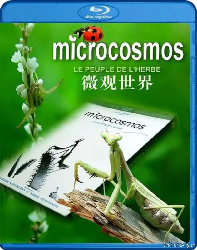 名称：微观世界 (1996) 1080P描述：导演用不凡的拍摄技巧引领我们进入了昆虫的世界