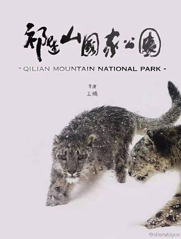 名称：祁连山国家公园 (2021) 纪录片描述：本片通过祁连山野生动物的故事，展示了祁连山完整的生物链，彰显出祁连山的中国生态屏障地位