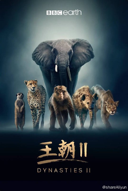 名称：王朝 第二季 (2022) 高分纪录片 2160p 双语字幕描述：在动物家族奋力构建各自的传世王朝时，每一个温情时刻，每一段凄美故事，每一次心碎背叛，都引人入胜，为观众献上沉浸式的观看体验
