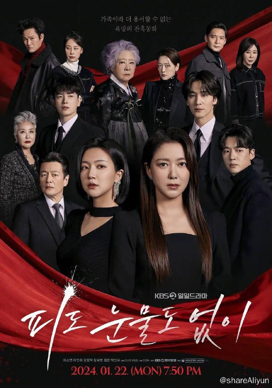名称：无血无泪（2024）描述：该晚间日日剧讲述了小时候因父母离婚而分开的姐妹在命运的漩涡中以儿媳和婆婆的身份再次相遇，在欲望和矛盾中走向破裂的悲剧故事