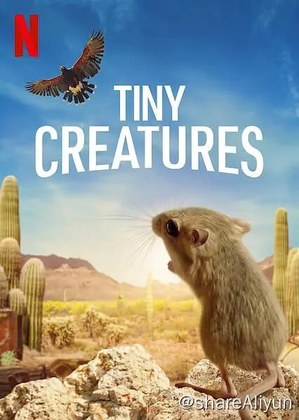 名称：微观世界 Tiny Creatures (2020)描述：有关生存的精彩故事在美国各地不为人知的世界里上演，这部自然纪录片系列捕捉了各种小动物令人着迷的生活