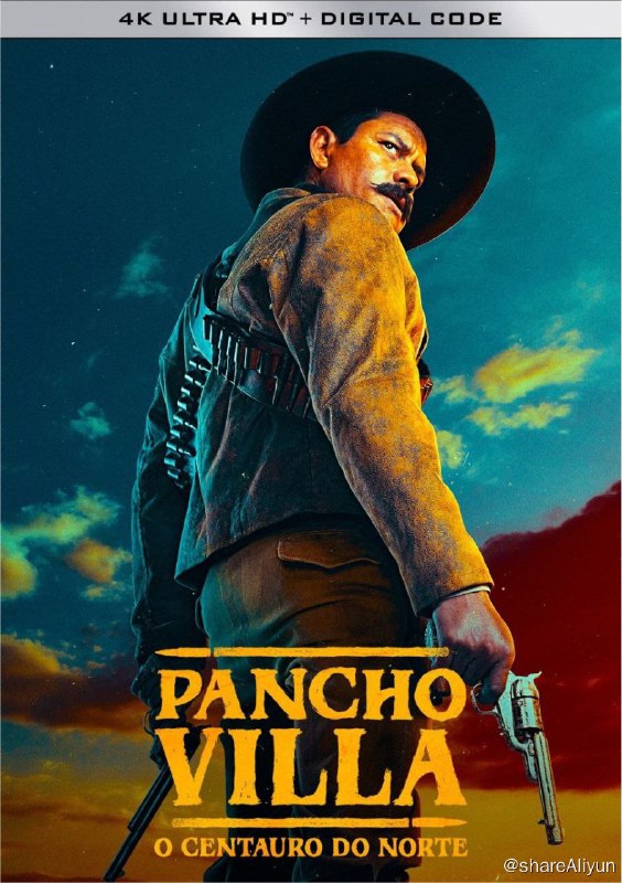 名称：潘丘·维拉：北方的半人马 (2023) 4K HDR描述：故事讲述了多罗特奥·阿兰戈的一生:从游走于法律对立面的土匪,到墨西哥革命中令人闻风丧胆的关键人物——“潘乔·比利亚”