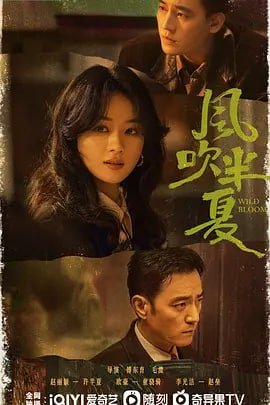 名称：风吹半夏 (2022)描述：这是一部时代群像闯剧，讲述了以许半夏为首的有志者怀抱雄心壮志在改革开放的大潮中，奔流涌动，积极探索，不断创新的故事，也展现了上世纪九十年代中小企业在时代浪潮中生存并寻求发展的现实