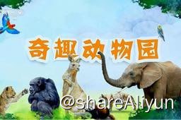 名称：奇趣动物园 (2020)描述：展现动物园中的有趣故事，并进行较深层次的科学分析