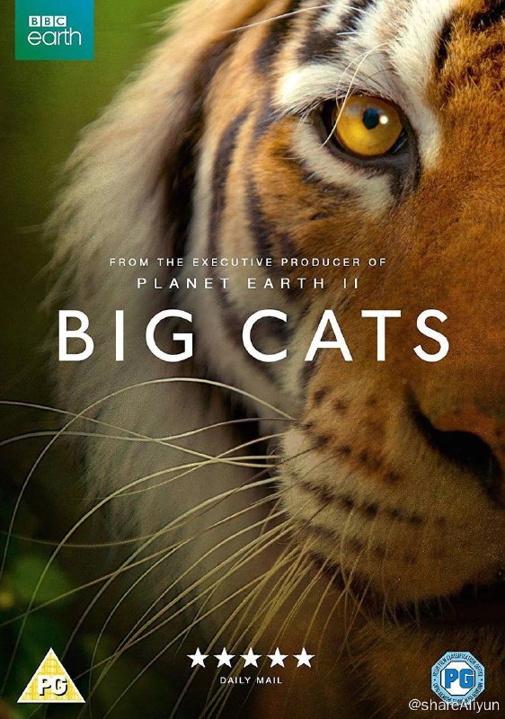 名称：大猫 Big Cata (2018) 高分纪录片 1080p 双语字幕描述：BBC最新纪录片，一个家族，40种不同面孔！将有非洲狮、虎、美洲豹、金钱豹、猎豹、云豹、雪豹、美洲狮、猞猁、豹猫、虎猫、渔猫、黑足猫、兔狲、薮猫、沙漠猫…等等很多野生猫科动物纷纷出镜链接：