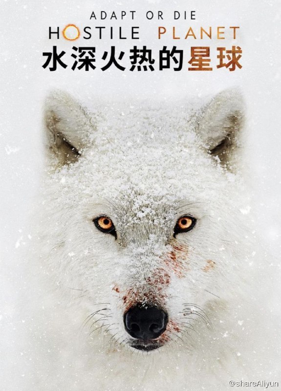 名称：水深火热的星球 (2019) 1080P 中英外挂字幕描述：野生动物主题纪录片《水深火热的星球》从一个全新的角度探索地球最恶劣的生存环境