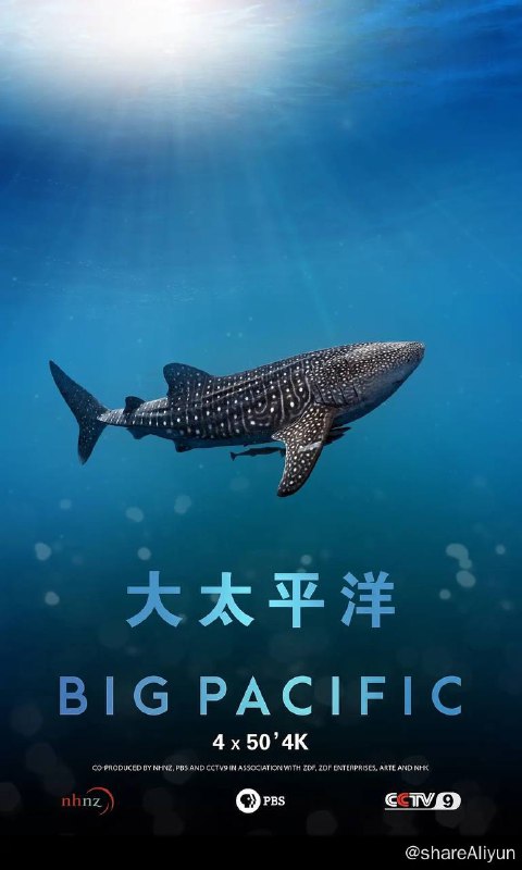 名称：大太平洋 (2017) 4K BluRay REMUX 原盘 外挂简中【高分纪录片】描述：纪录片《大太平洋》运用4K高分辨率摄像机进行拍摄，打破陆地与海洋的界限，以前所未见的方式呈现太平洋的故事