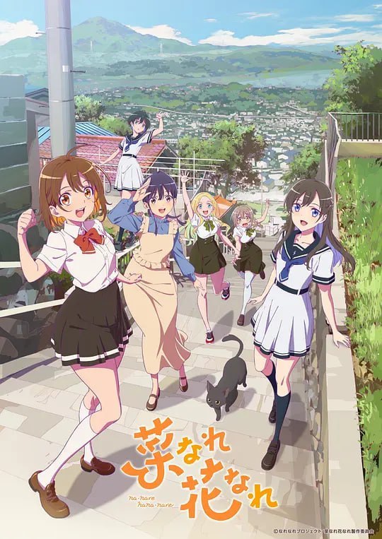 名称：亦叶亦花 菜なれ花なれ (2024)描述：以称霸全国大赛为目标的名门学校——鹰之咲高中