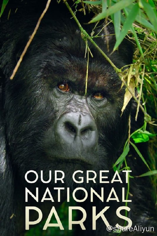 名称：全球绝美国家公园(2022) 洗版 4K HDR&DV 内封简繁描述：这部精彩的系列纪录片由前总统贝拉克·奥巴马担任旁白，带我们领略全球最壮观的国家公园