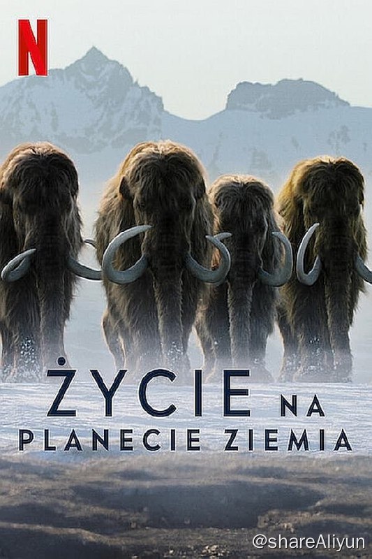 名称：我们星球上的生命 S1(2023) 4K HDR & Dv 中字内嵌字幕描述：这是关于生命在地球上如何奋力征服和生存的史诗故事