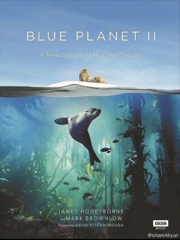 名称：蓝色星球 S2 (2017) 4K HDR 中字外挂字幕描述：影片主要从极地海域到珊瑚岛礁；从大西洋到深海海底；向人们介绍了那些令人惊异的新景观及匪夷所思的新生物种