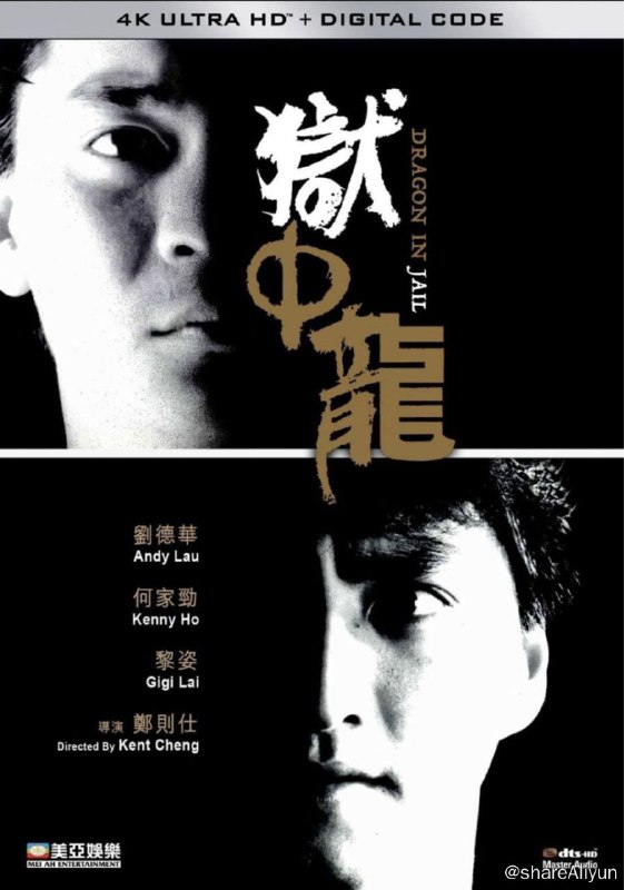 名称：狱中龙 (1990) 4K 60FPS 中字硬字幕描述：富家子弟张荣日（何家劲 饰）因冲动犯事儿进入劳役中心服刑，他老实内向，对道上规矩更是一窍不通，因此饱受虾毛等人欺负，在此期间他结识了颇讲义气的阿豪（刘德华 饰），二人成为莫逆之交