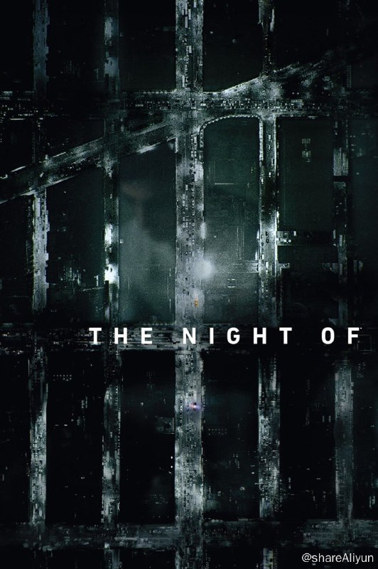 名称：罪夜之奔 The Night Of (2016) 1080p REMUX 原盘 内封简中【高分美剧】【刮削】描述：出生于巴基斯坦移民家庭的高中生纳兹，偷偷开走父亲的出租车去赴一场朋友爽约的派对