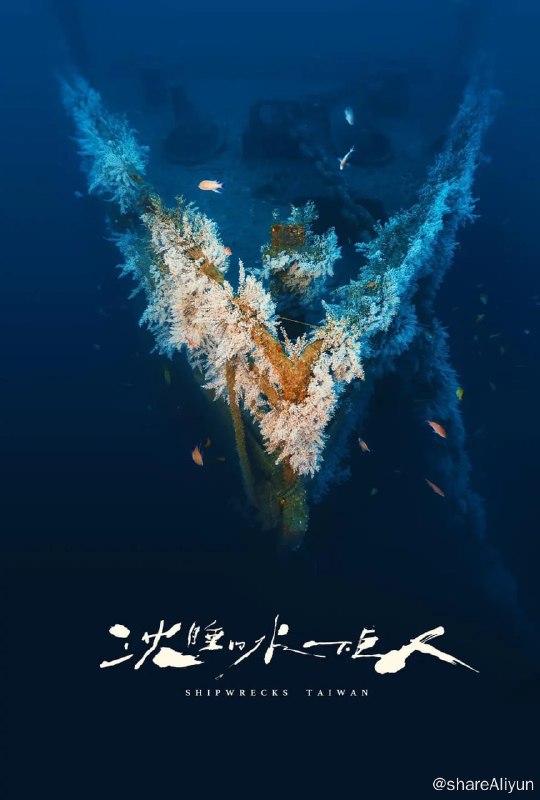 名称：沉睡的水下巨人 沈睡的水下巨人 (2024)描述：《沉睡的水下巨人》是台湾第一部以「海洋沈船生态」为题的纪录片，全剧共有八集，耗时2年、横跨台湾7大海域：兰屿、绿岛、小琉球、澎湖、东北角、垦丁及澎湖，以最高规格8K/120fps/RAW，拍摄总共8艘巨型沉船的故事