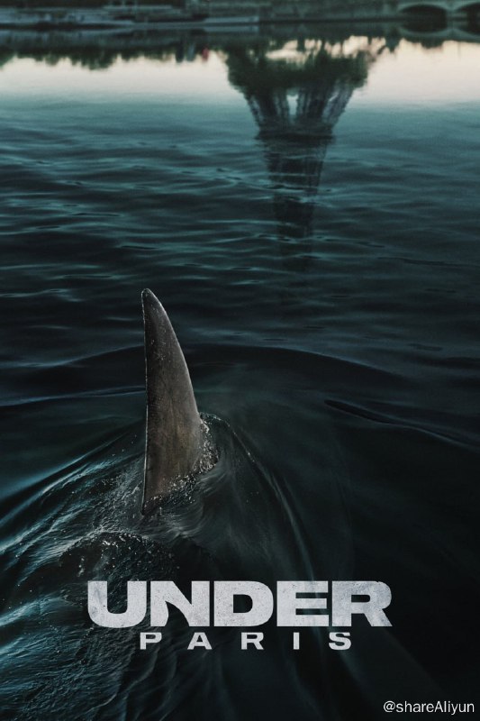 名称：巴黎深渊 (2024) 4K HDR 纯净版 NF 内封简繁英 动作 /惊悚【刮削】描述：2024年夏天，巴黎首次在塞纳河畔举办世界铁人三项锦标赛