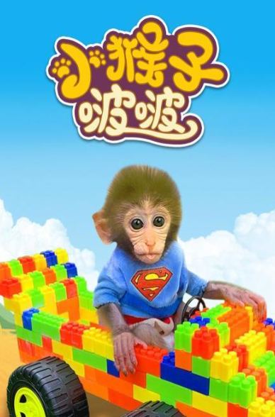 名称：少儿：小猴子啵啵 -（高清全集）描述：啵啵是一只可爱的猴子，她已经10个月大了，本系列视频是拍摄啵啵和她好朋友的日常生活，他们会上超市购物，农场采摘水果，泳池游泳，该系列视频重点培养小朋友热爱大自然，探索世界，培养他们爱心，爱护身边小动物