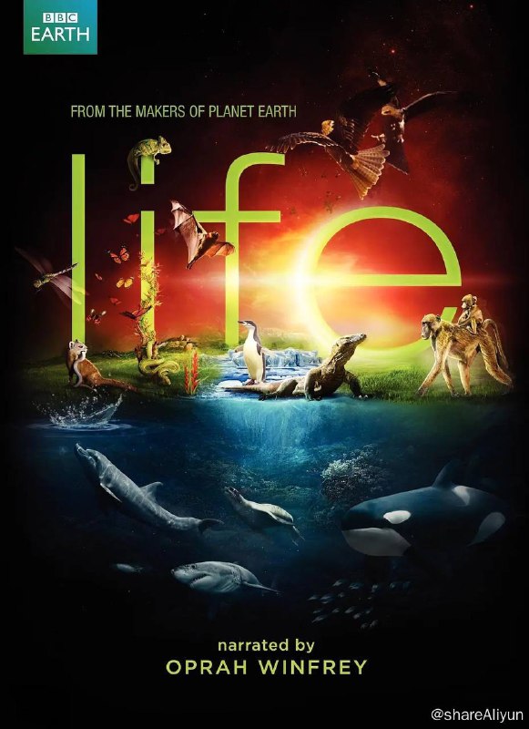 名称：生命 Life (2009) 高分纪录片 1080p BluRay 高码率 外挂简中描述：《生命》是由BBC制作的十集系列纪录片，从2009年10月12日开始在BBC电视台播出