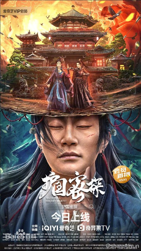 名称：护国密探 4K高码率描述：明末，京城庆王爷密谋造反，幸被护国密探梅有淩发现，经过双方斗智斗勇，最终将造反平息，保住了皇权