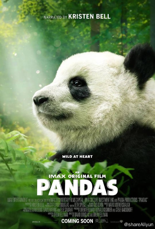 名称：大熊猫 Pandas (2018) 2160p BluRay REMUX 原盘 外挂双语描述：IMAX打造的原创纪录片在中国成都熊猫基地，科学家们致力于让成年熊猫繁殖，将幼崽引入野外