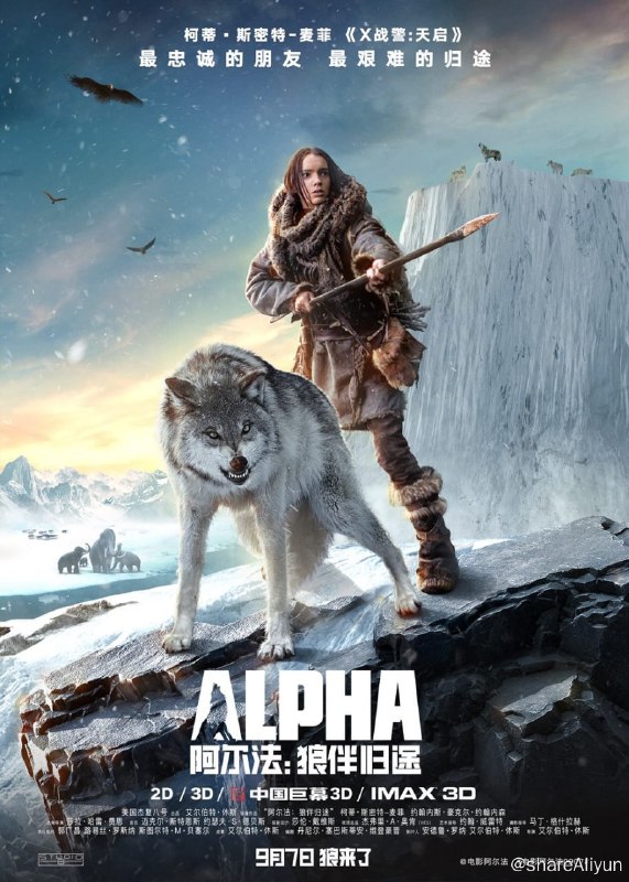 名称：一人一狼!历经千难万苦,共同成长想伴回家!2018年冒险电影《阿尔法:狼伴归途》描述：故事开始于两万年前的欧洲北部，彼时正直冰川时期，科达（科迪·斯密特-麦菲Kodi Smit-McPhee 饰）是部落首领的儿子，在一次集体狩猎行动中，他不幸跌落了悬崖，音信全无