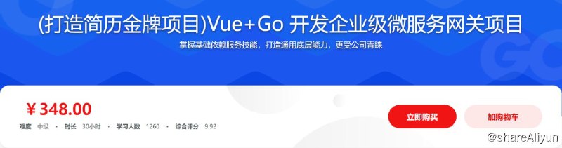 名称：Vue+Go 开发企业级微服务网关项目描述：本课程带你手把手设计并实现一个通用型前端+后端一体的微服务网关项目，同时利用Go语言本身的性能优势，打造网关的优越性能，提升自身硬实力，还能收获微服务网关项目作品，丰富个人简历