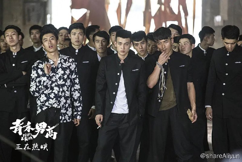 名称：青禾男高 (2017)描述：1932年，日本帝国主义侵略东北，扶植傀儡皇帝溥仪建立伪满洲国，并在全境推行奴化教育