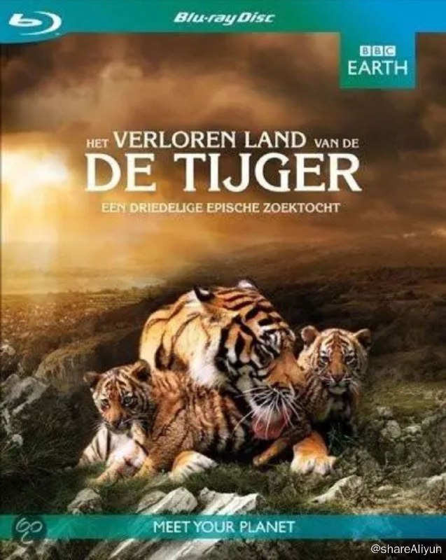 名称：BBC-老虎失落之地 (2010) 720P描述：BBC自然史节目摄制组拍摄的画面证实，一个本来以为已经灭绝了的老虎种群在不丹的喜马拉雅山地区出现，并且成功繁衍