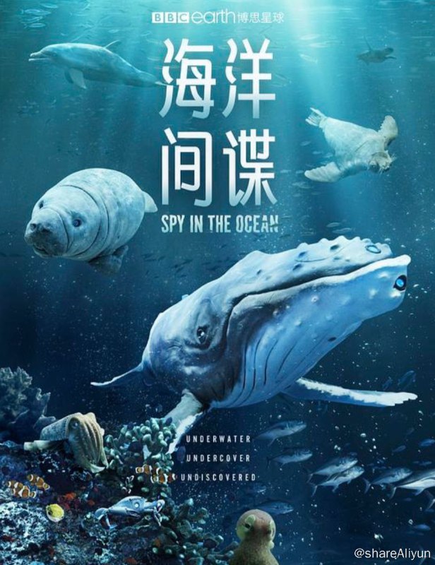 名称：海洋间谍 (2023) 1080P 中字硬字幕描述：这一次，间谍相机带着当今最尖端的拍摄技术，前往海洋深处，迎接它们迄今为止最激动人心的挑战，探索地球上最神奇且最具活力的环境之一，海洋
