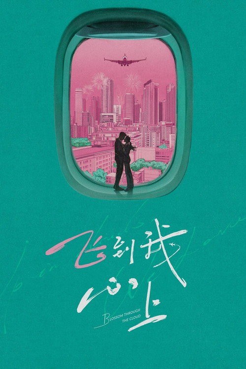 名称：飞到我心上 (2026) 4K 高码率 [SDR&HDR] [无台标] [更新18集]描述：阮思娴因航空公司取消飞行员培训计划而辞职学飞，三年后以优异成绩毕业并踏上机长之路