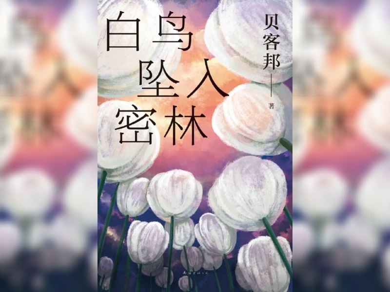 名称：【电子书】白鸟坠入密林 全格式描述：一桩全员0恶人的少女失踪案，戳痛你的软肋！就算我已失去前路，也想为你照亮迷途；在没有恶人的世界里，悲剧照常发生