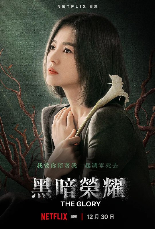 名称：黑暗荣耀 内嵌官中描述：梦想成为一名建筑师的主人公东恩（宋慧乔 饰），高中时期因遭受校园暴力而不得不退学，随后等到加害主谋结婚，其孩子升入小学之后