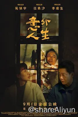 名称：意外人生 (2023)  tv高码杜比音描述：身在澳门的潘义铭 (吴镇宇 饰) 意外收到一份30年未见面的父亲的遗嘱，父亲留给他一笔巨额遗产，要求潘义铭参加葬礼才能继承