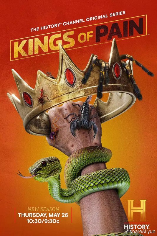 名称：疼痛之王 第二季 Kings of Pain Season 2 (2022)描述：两个无所畏惧的男人被世界上最危险的动物蜇伤和咬伤，以创建测量疼痛的终极指南