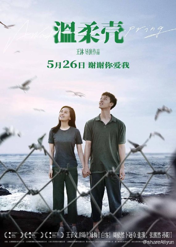 名称：温柔壳 (2023) 2160p 高码率 杜比音效【王子文/尹昉】描述：在觉晓（王子文 饰）人生最艰难的低潮点，戴春（尹昉 饰）的出现像一抹阳光冲破了黑暗