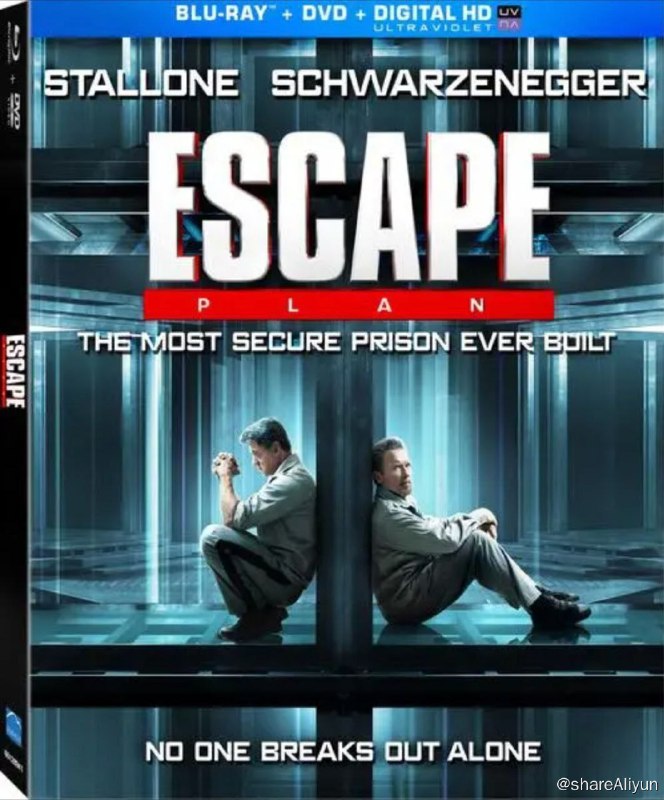 名称：金蝉脱壳 (2013) 4K HDR 中字外挂/内嵌字幕描述：该片讲述的是一个监狱设计师，原计划测试世界上最坚不可摧的监狱，不料却被关入狱中企图灭口