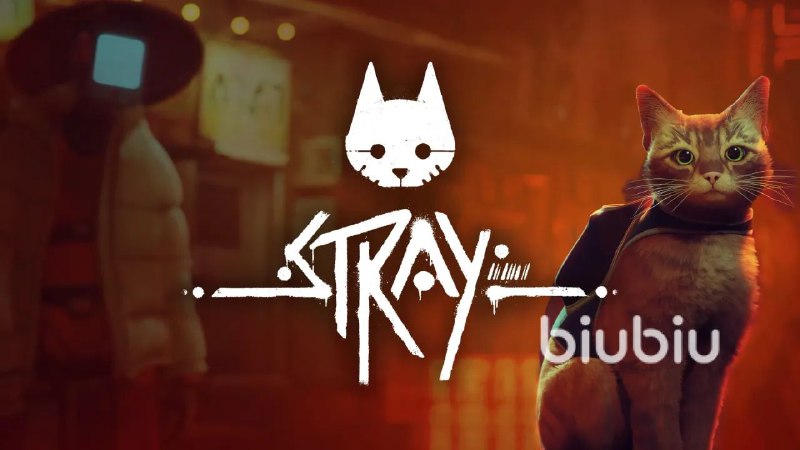 名称：迷失描述：一只孤身离群的流浪猫迷失了方向