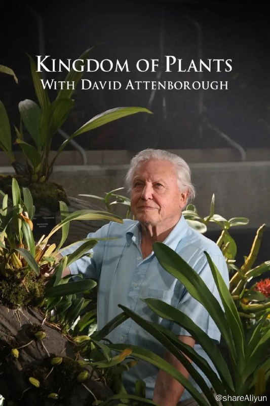 名称：《植物王国》BBC 兄弟们，新年快乐描述：3D技术揭示了一个全新的层面，在植物的生命，从最离奇最美丽的